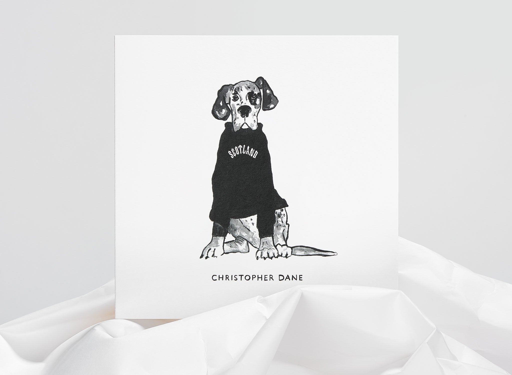 Jo Laing - Christopher Dane Dogs In Vogue Greeting Card - luxury stationery made in England