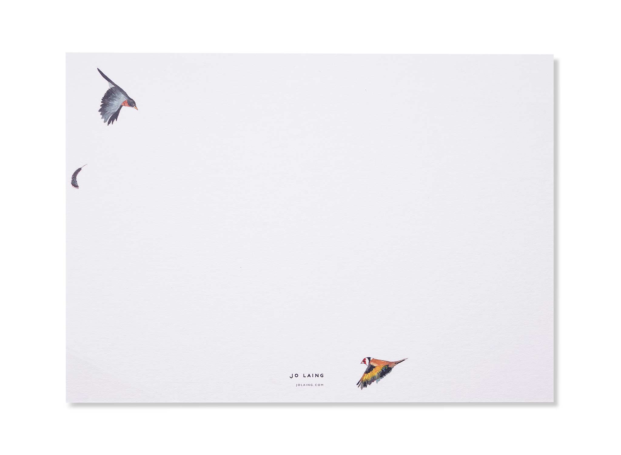 Coo-eeeee Luxury Correspondence Cards