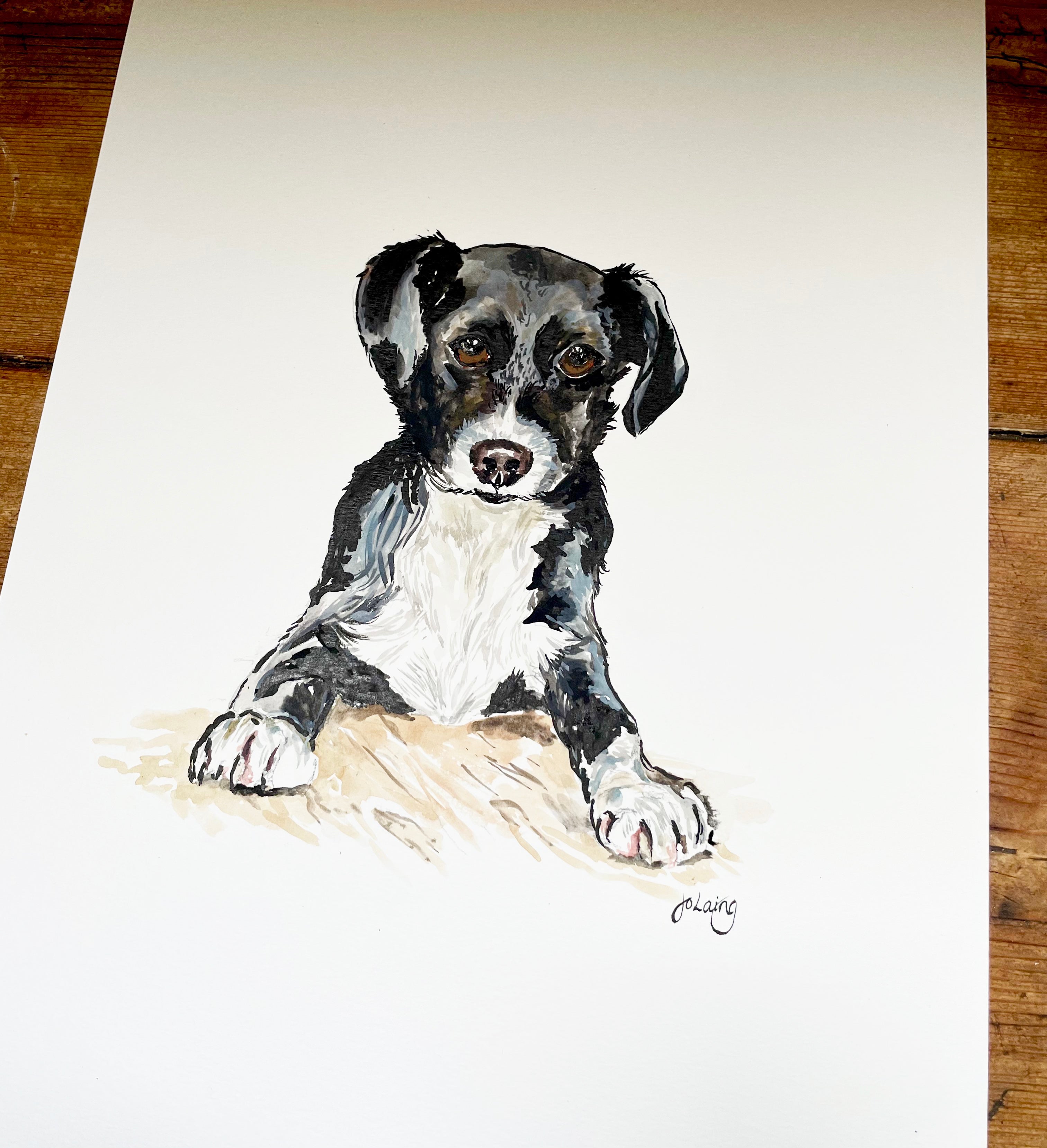 Original Pet Portrait
