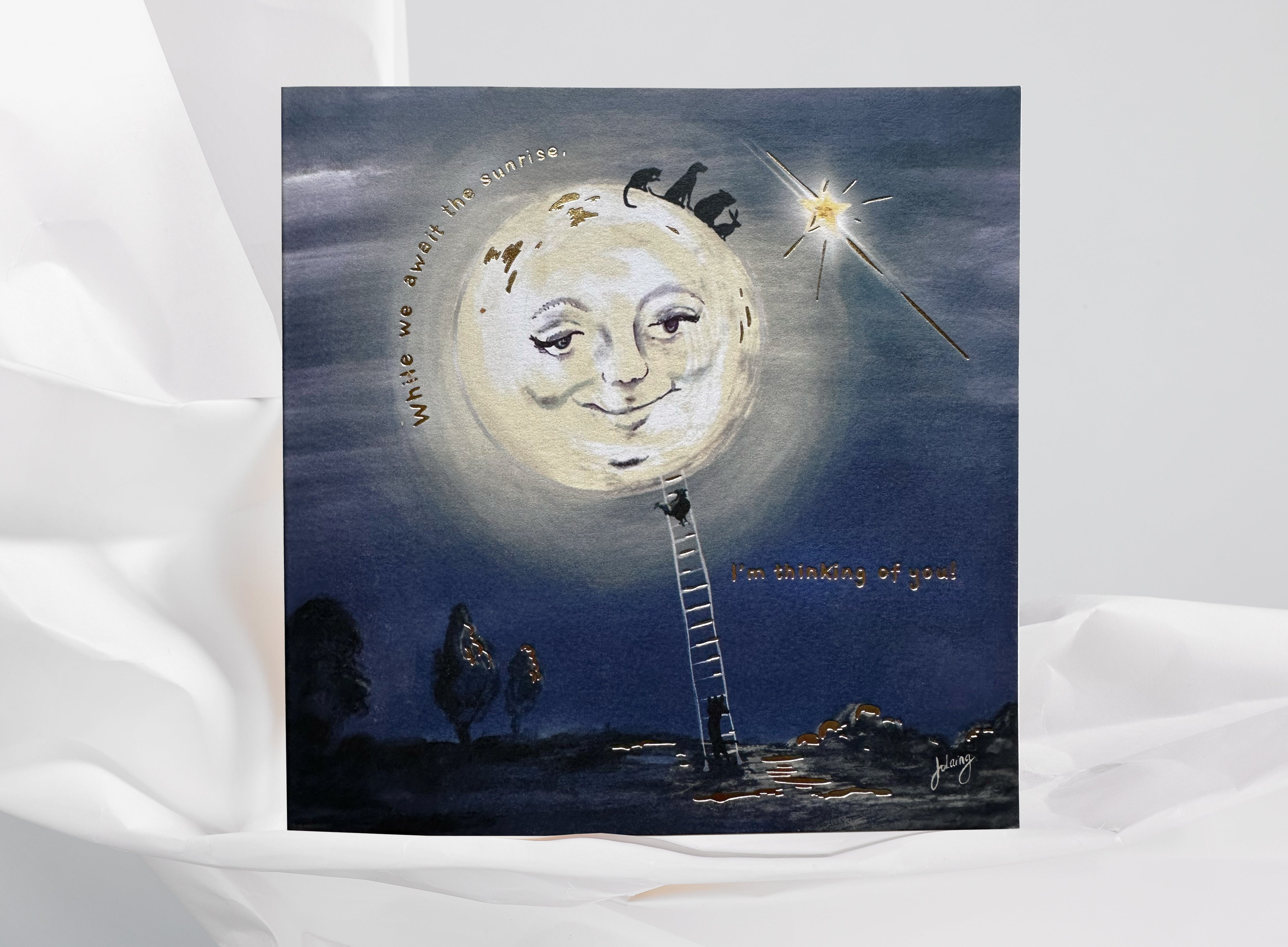 While we await the sunrise... Greeting Card