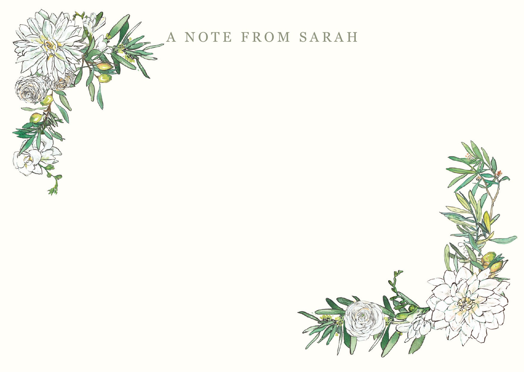 Olive Groves Notecards