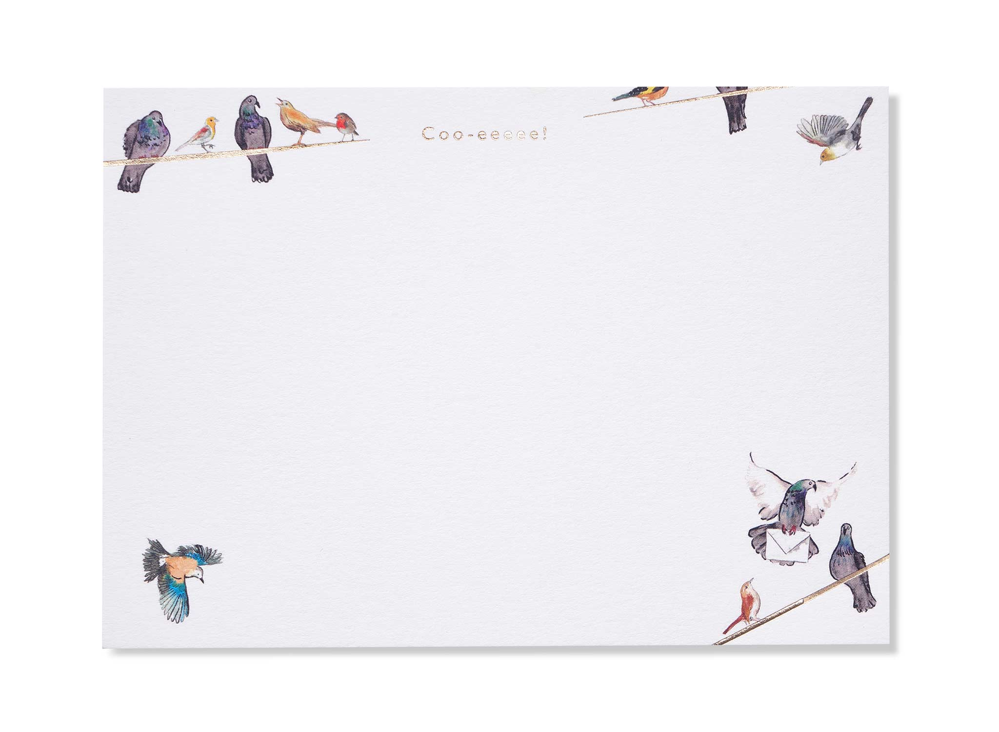 Coo-eeeee Luxury Correspondence Cards