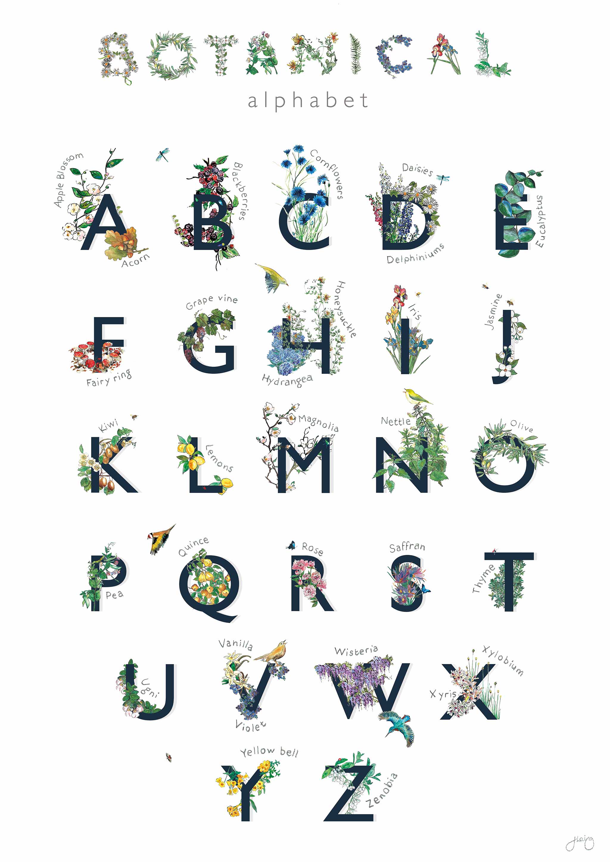 Botanical Alphabet R Poster Botanical Alphabet Nursery Art Print – Jo Laing