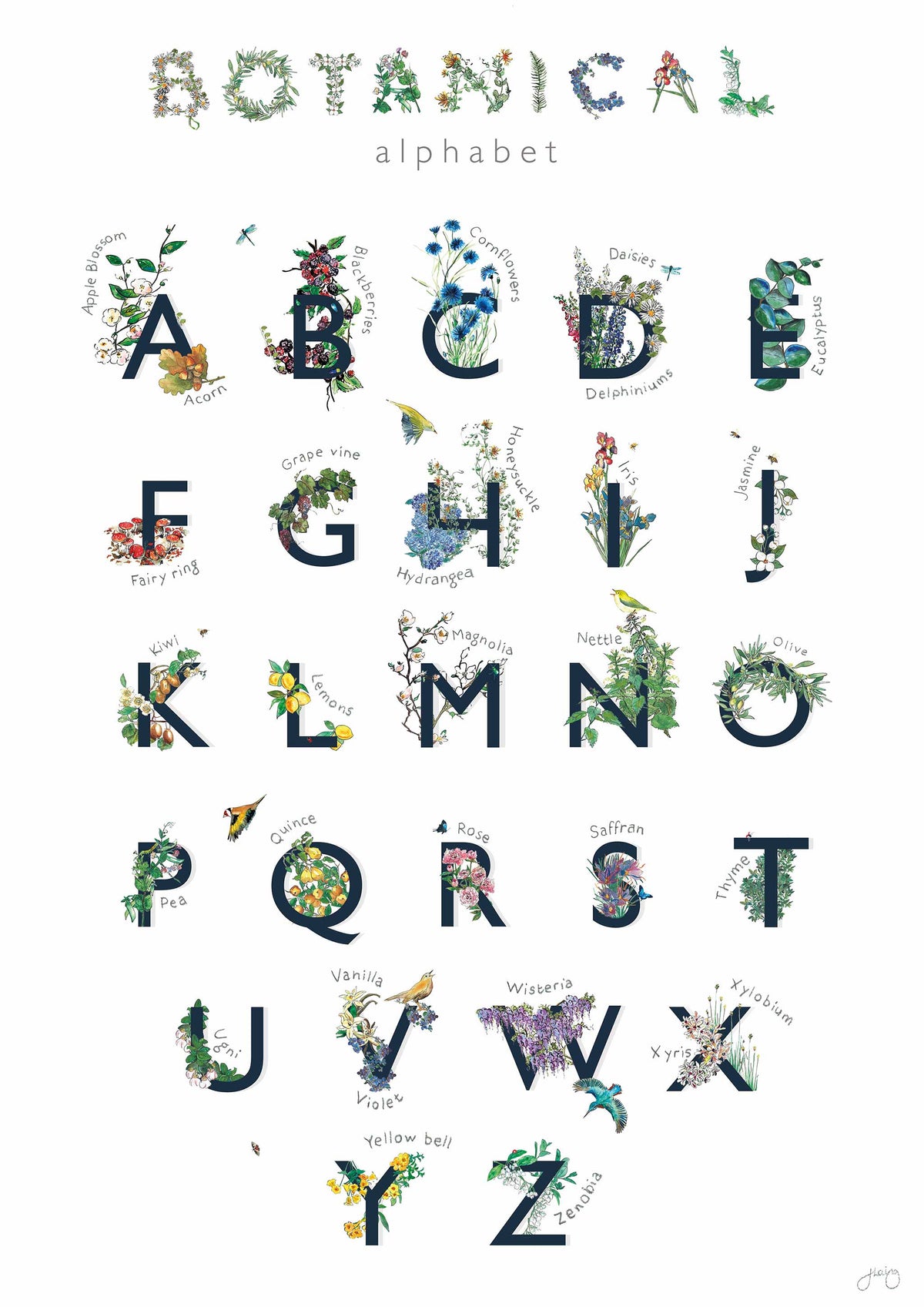 Botanical Abc Botanical Alphabet Nursery Art Print